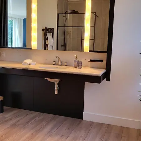 Maison De La Riviere 3* エイメ